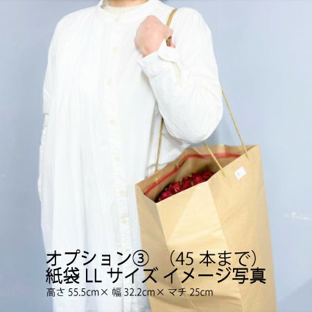 バラの花束 産地厳選 黄色・オレンジ薔薇31～108本（本数をお選び