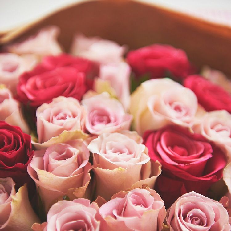 バラの花束 産地厳選 ピンク系薔薇60本 | リンクフローリスト
