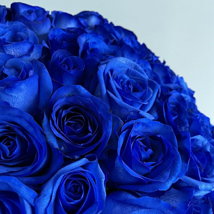 青いバラの花束プレミアムローズ 青薔薇108本の青いバラ花束花言葉「夢