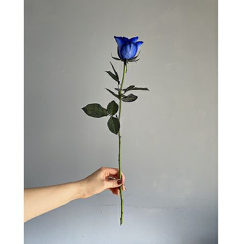 絵画 青いバラ 薔薇 10号 花言葉は夢が叶う