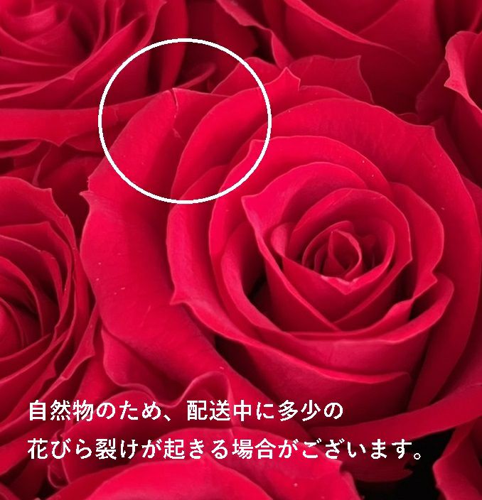 【未使用品】赤本7万円分‼️バラ売り可‼️ プリザーブドフラワー赤いバラエターナルローズBOX S | リンクフロー